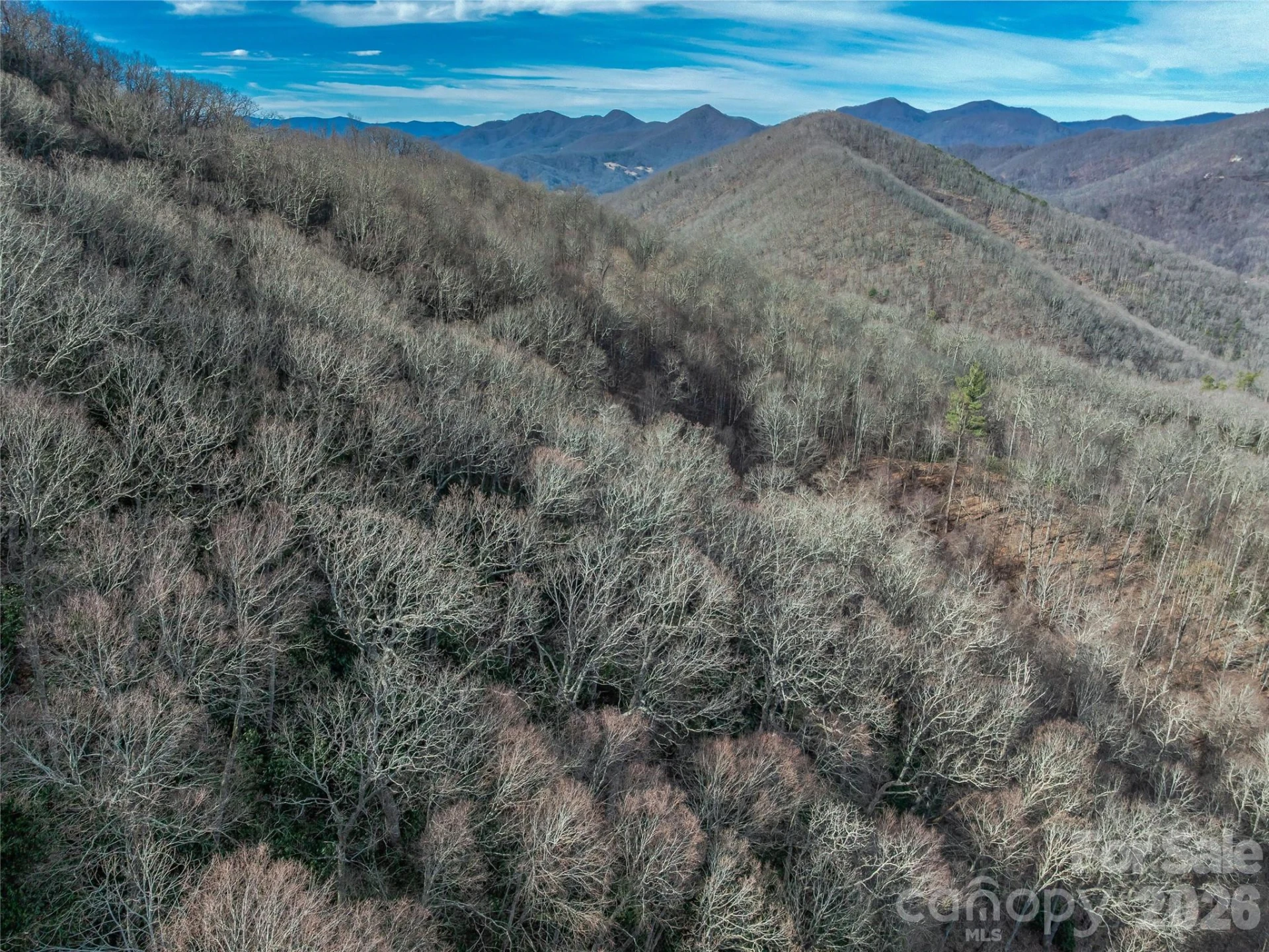 99999 High Top Mountain Road - Photo 27