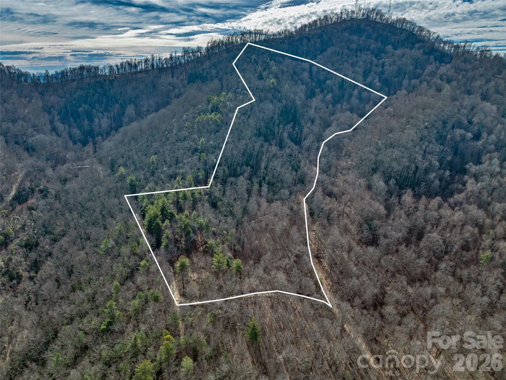 99999 High Top Mountain Road - Photo 4