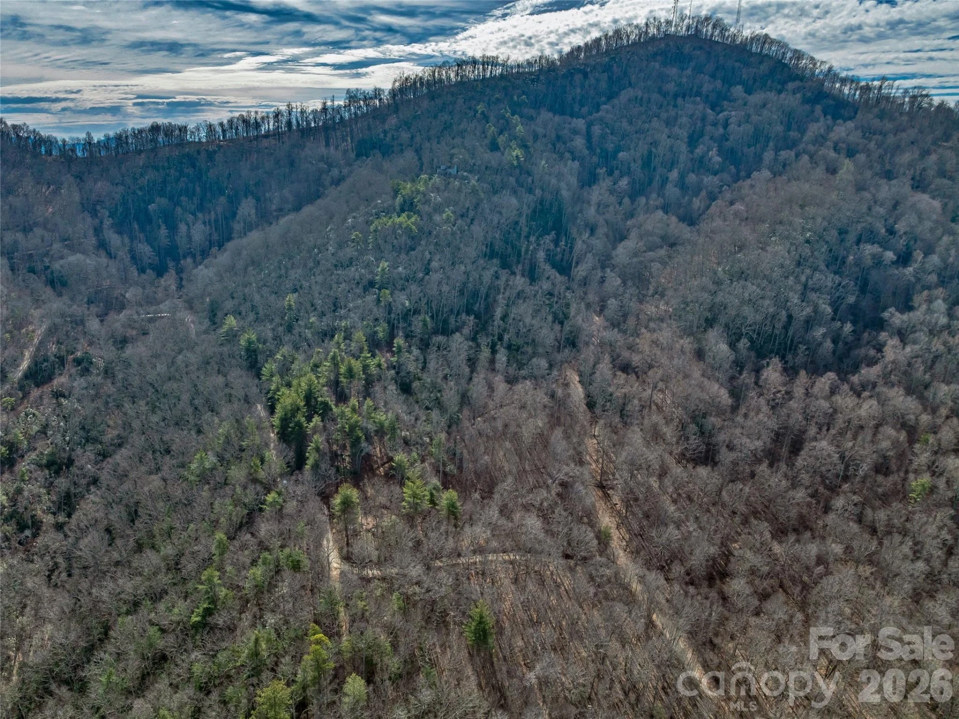 99999 High Top Mountain Road - Photo 5