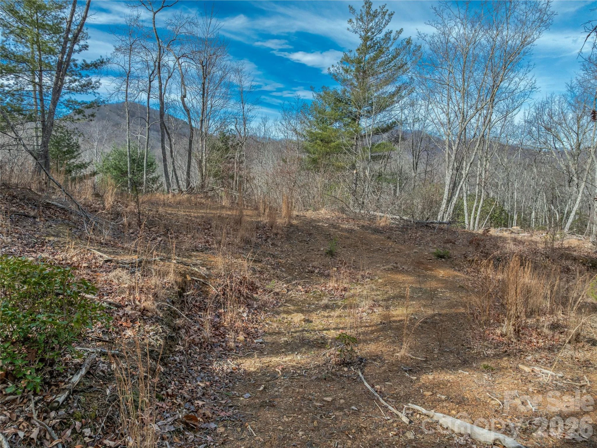 99999 High Top Mountain Road - Photo 6