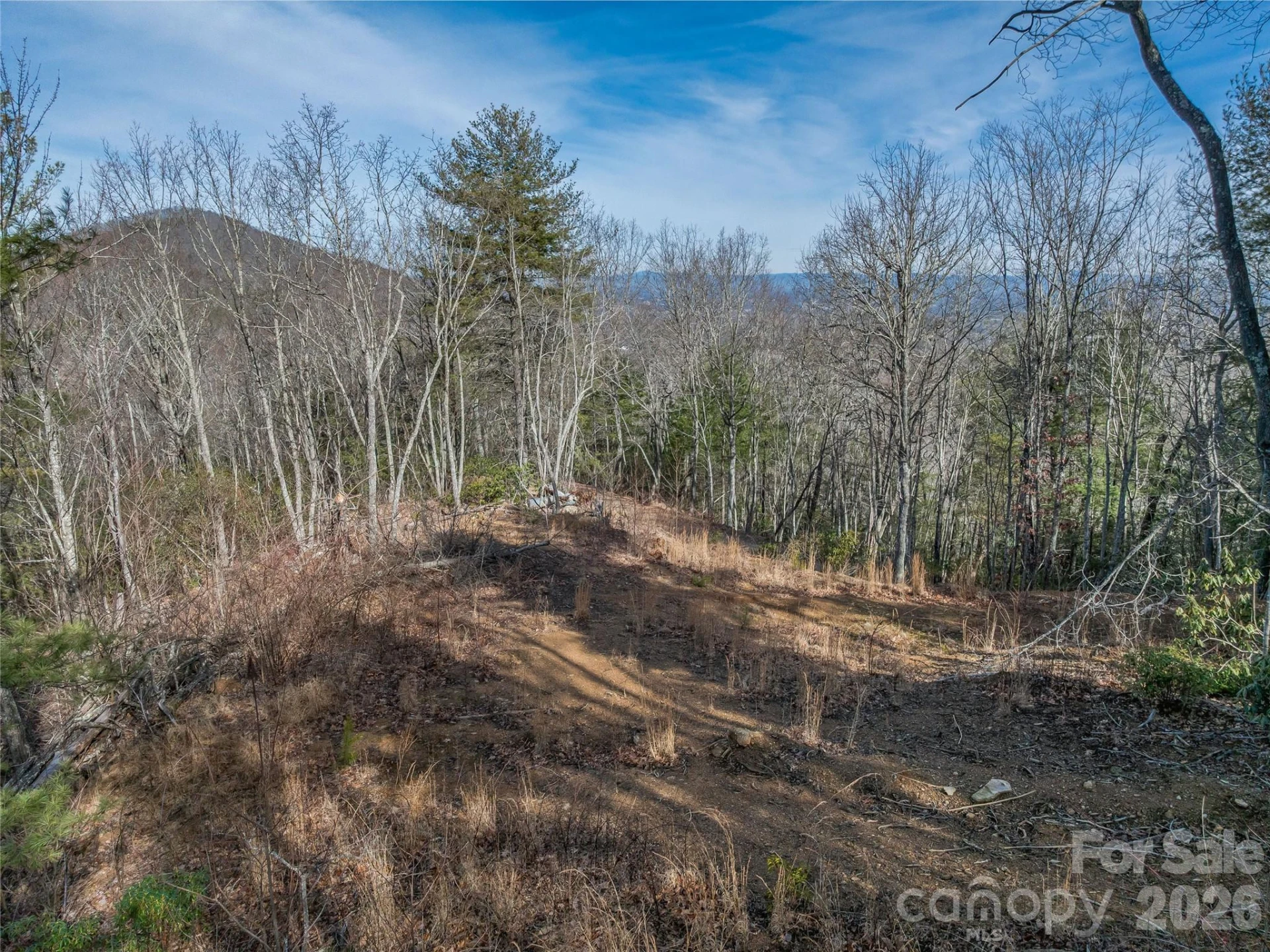 99999 High Top Mountain Road - Photo 8