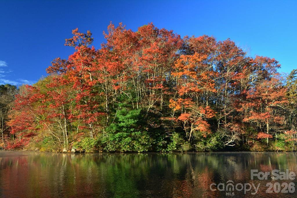 Lot 5 Dars Lane #5 - Photo 13