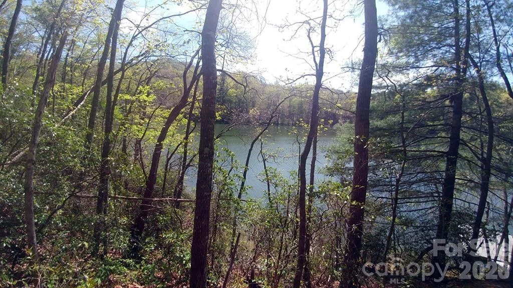 Lot 5 Dars Lane #5 - Photo 6