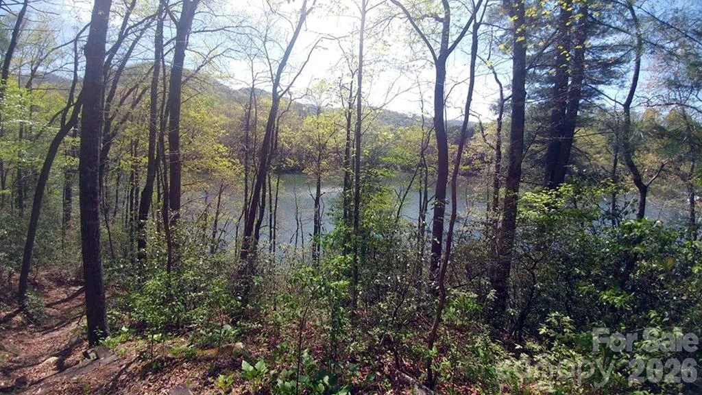 Lot 5 Dars Lane #5 - Photo 8