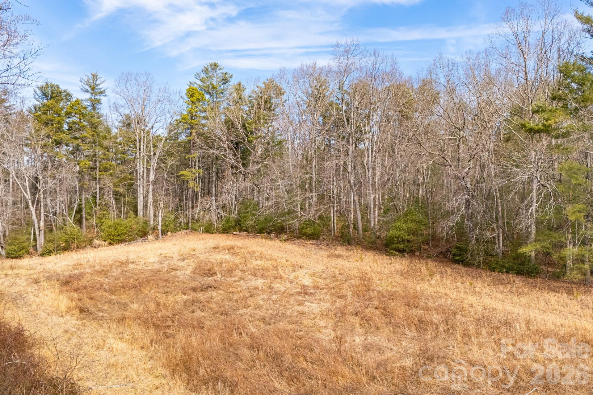 00 Old Haywood Road - Photo 12