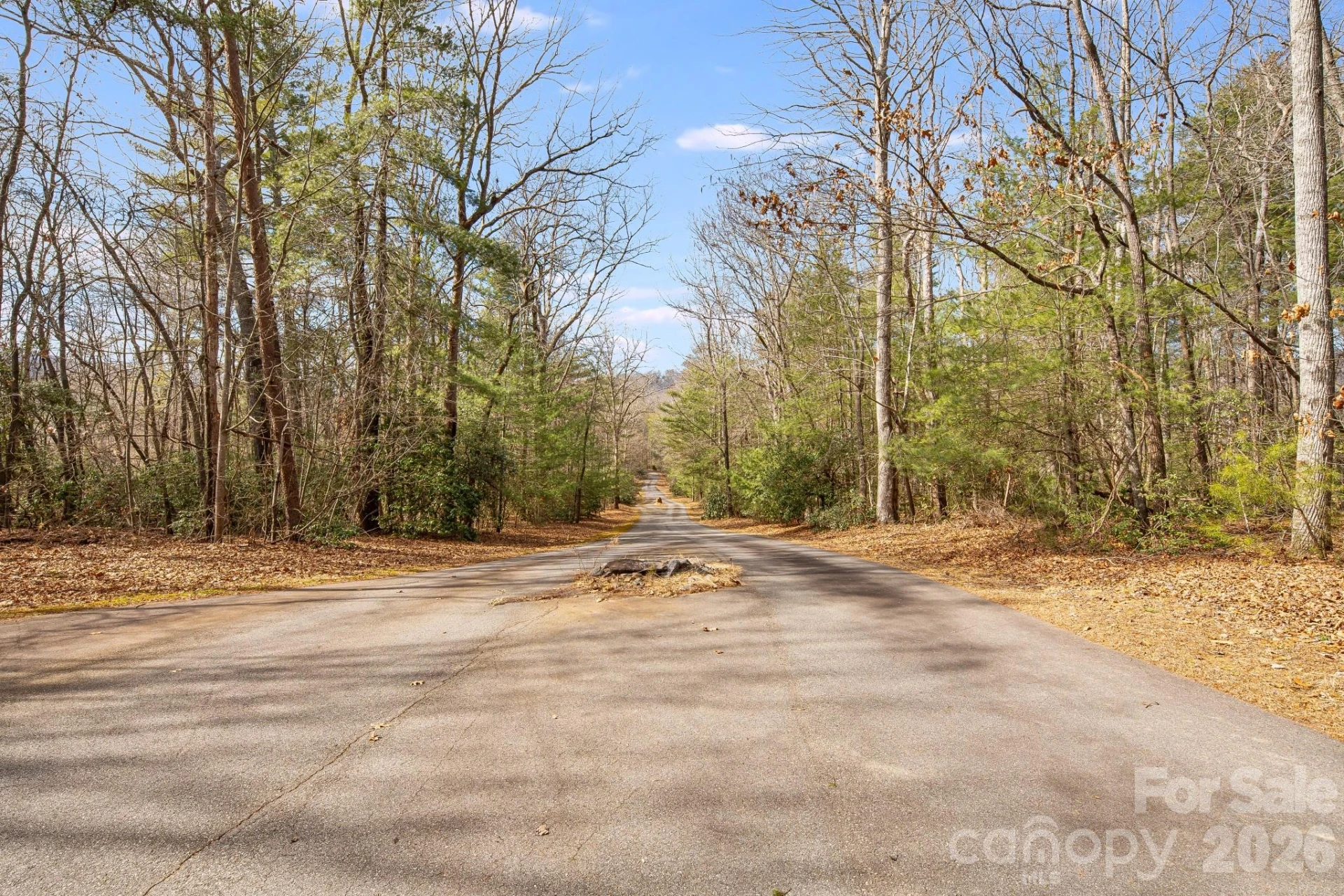 00 Old Haywood Road - Photo 13