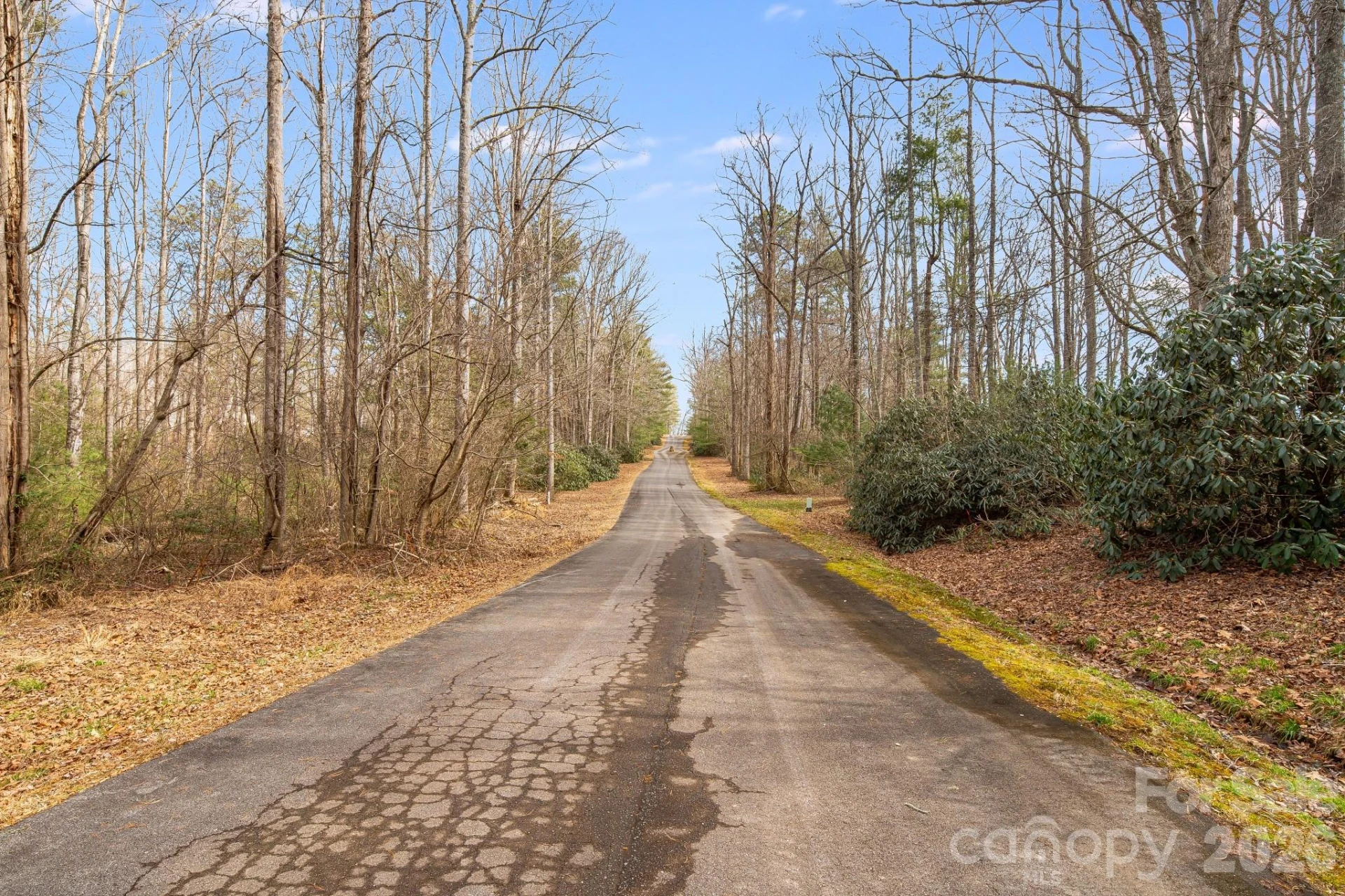 00 Old Haywood Road - Photo 14