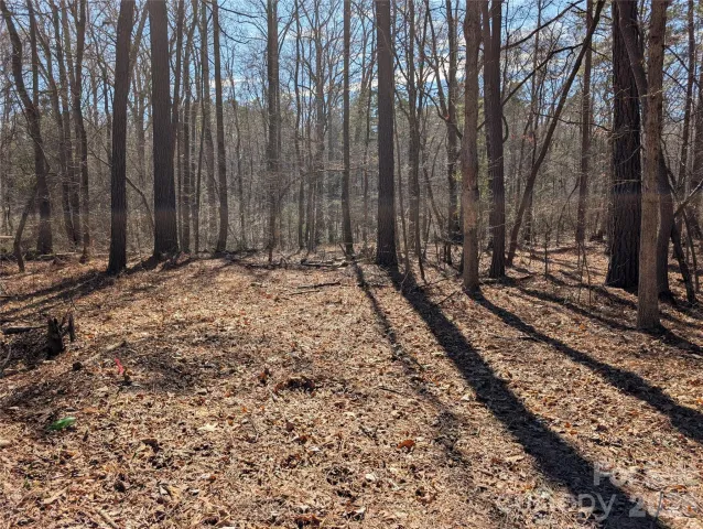 489 & 491 Mimosa Road