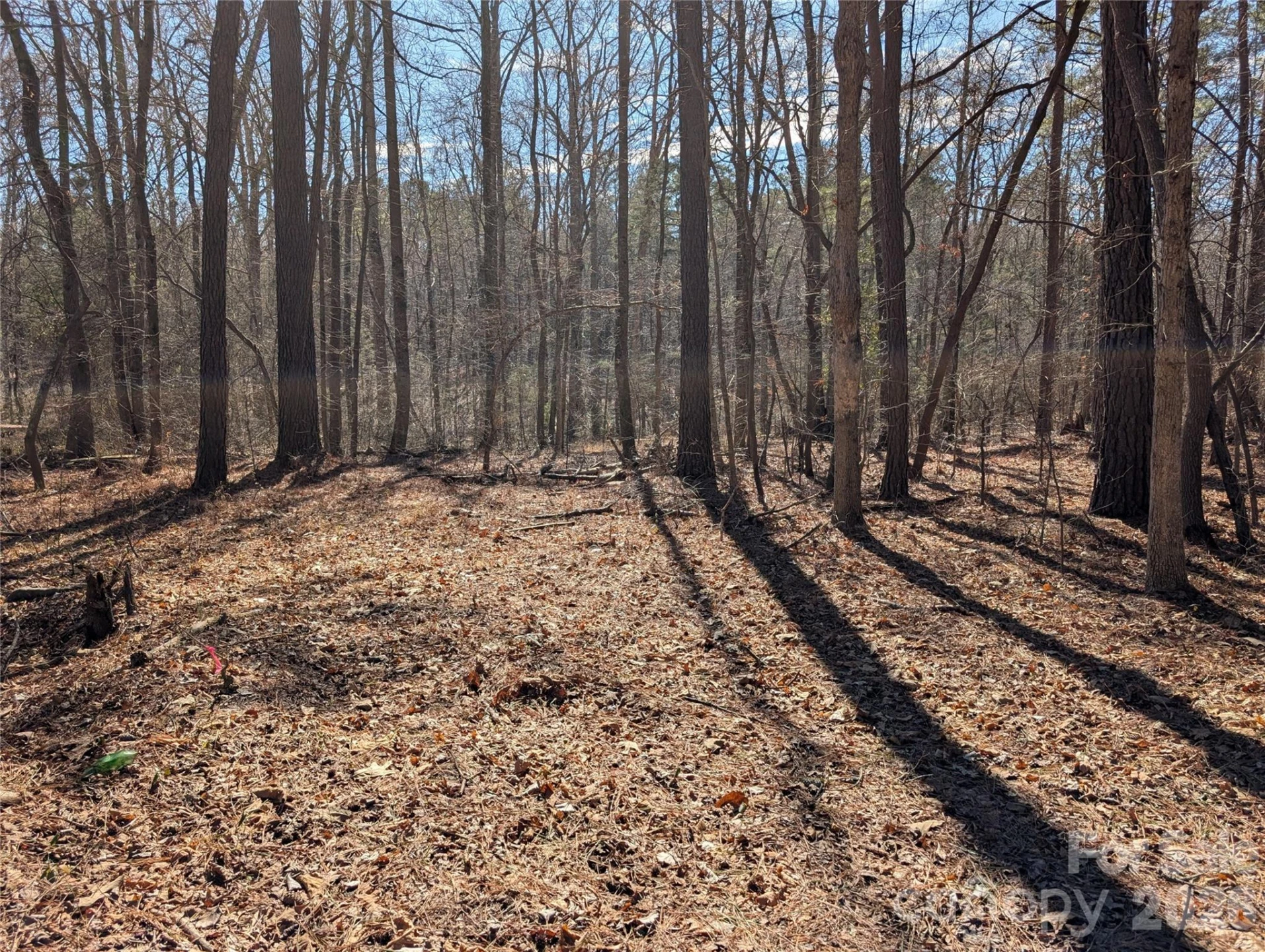 489 & 491 Mimosa Road #3 & 9