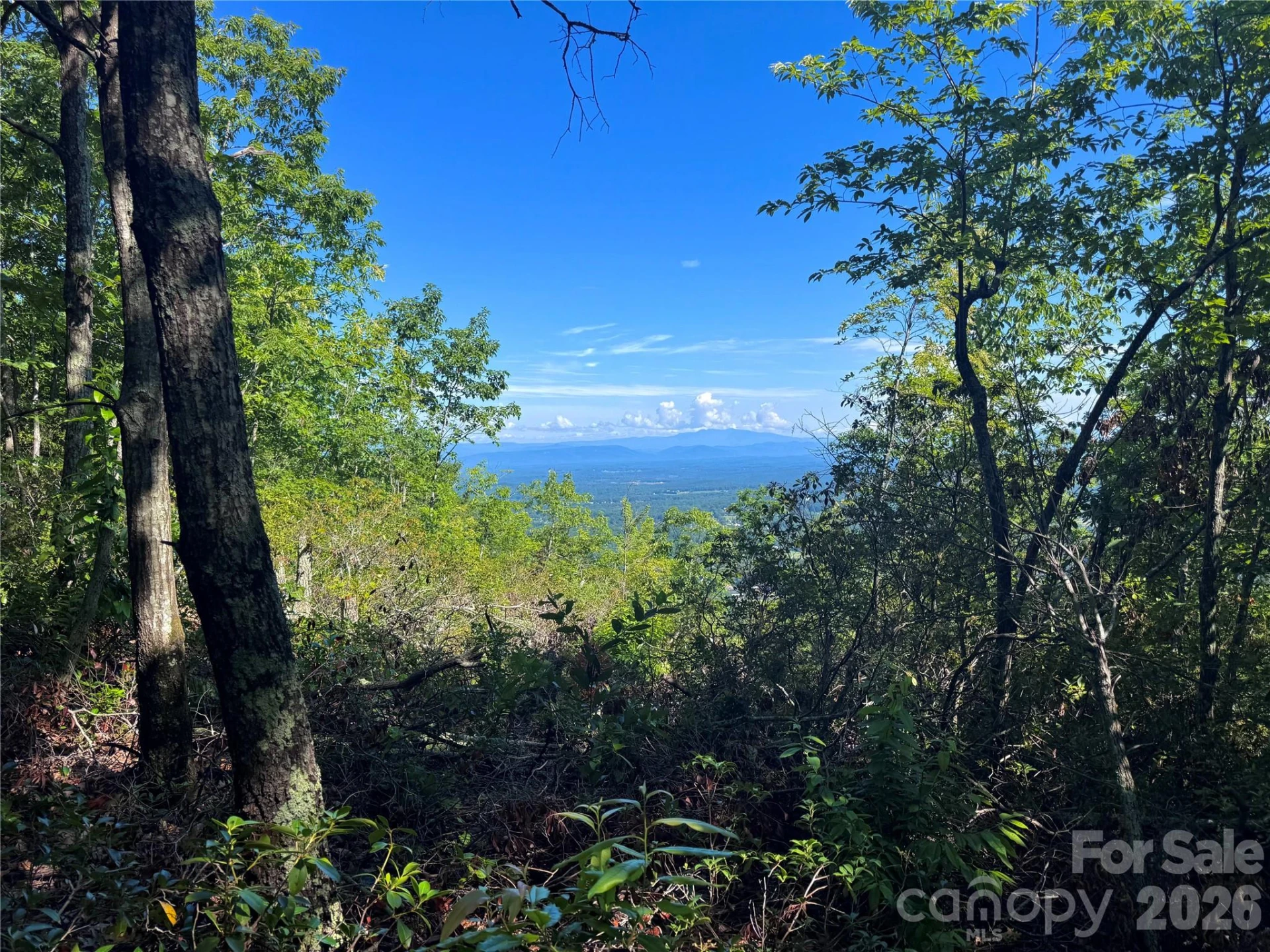 3721 Mountain Vista Drive #28A