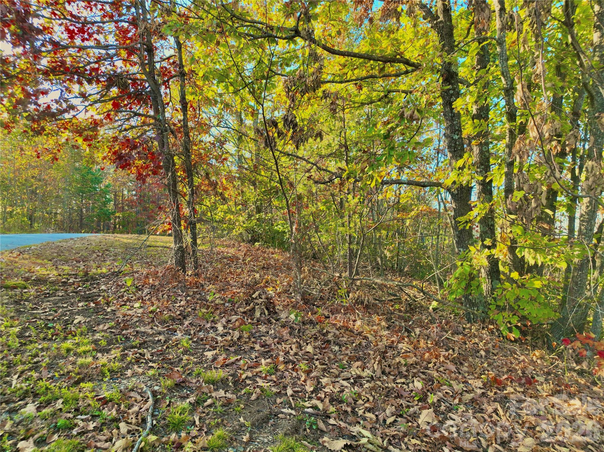 3721 Mountain Vista Drive #28A - Photo 7