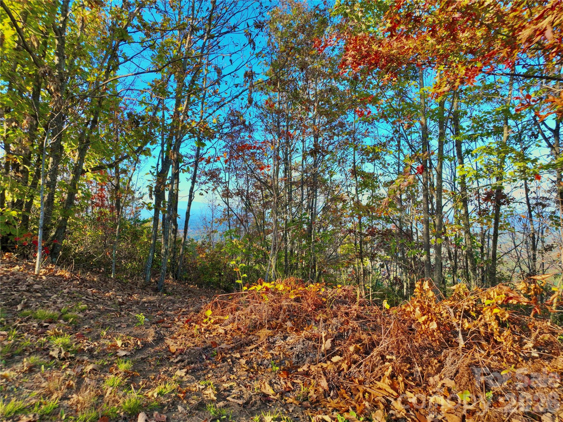 3721 Mountain Vista Drive #28A - Photo 8