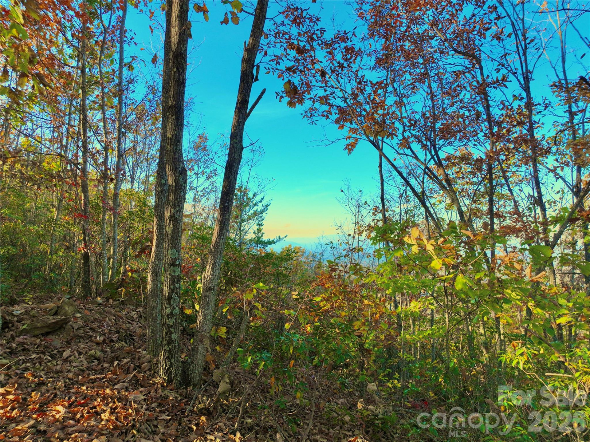 3721 Mountain Vista Drive #28A - Photo 9