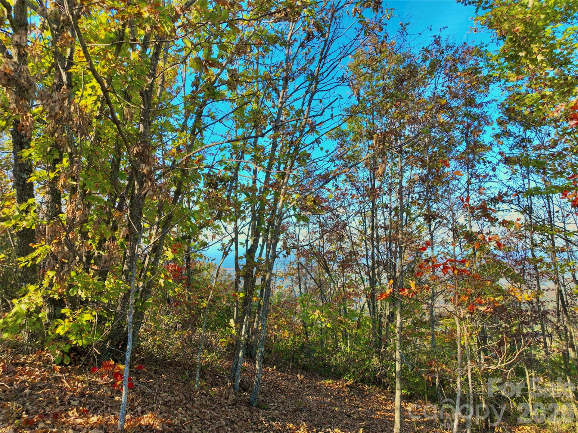 3721 Mountain Vista Drive #28A - Photo 10