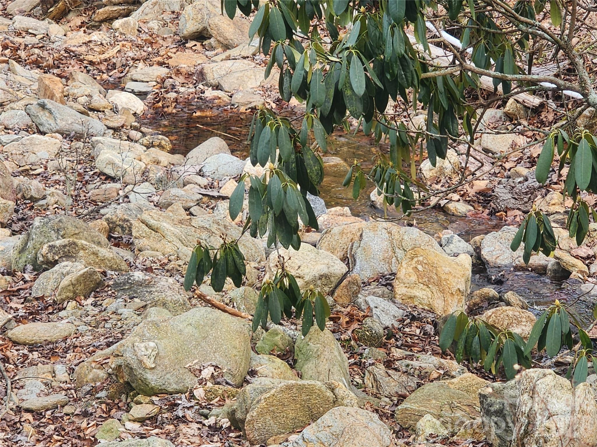 659 Cold Creek Road - Photo 32