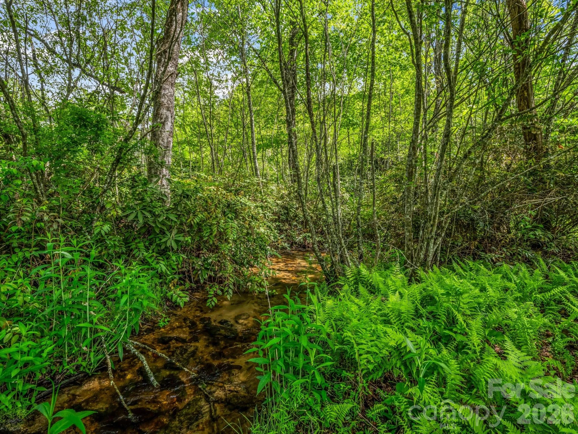 29 Stonehollow Lane - Photo 2