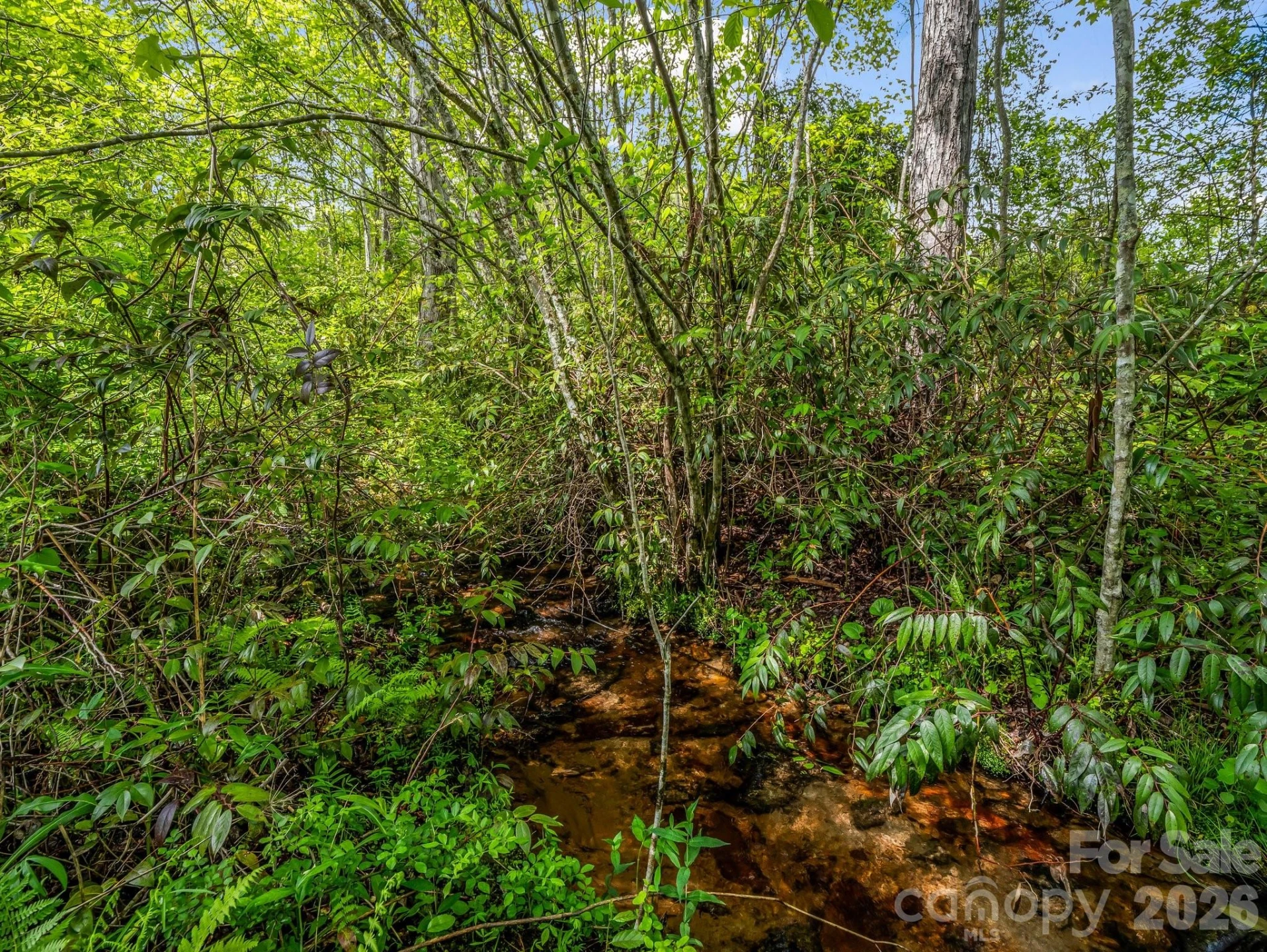 29 Stonehollow Lane - Photo 15