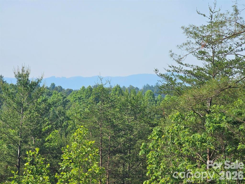 2127 Robert Drive #19  20 - Photo 2