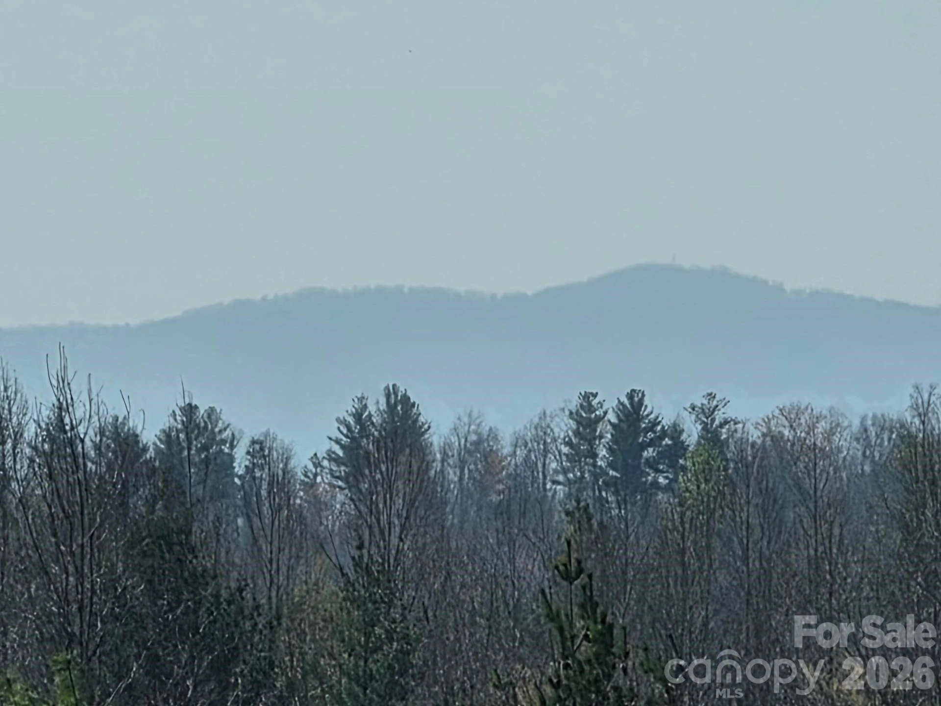 2127 Robert Drive #19  20 - Photo 3