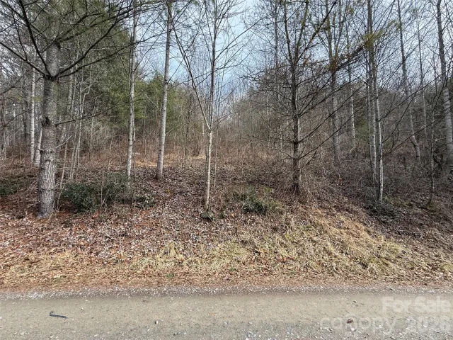 000 Rosalie Lane, Waynesville, NC, 28785