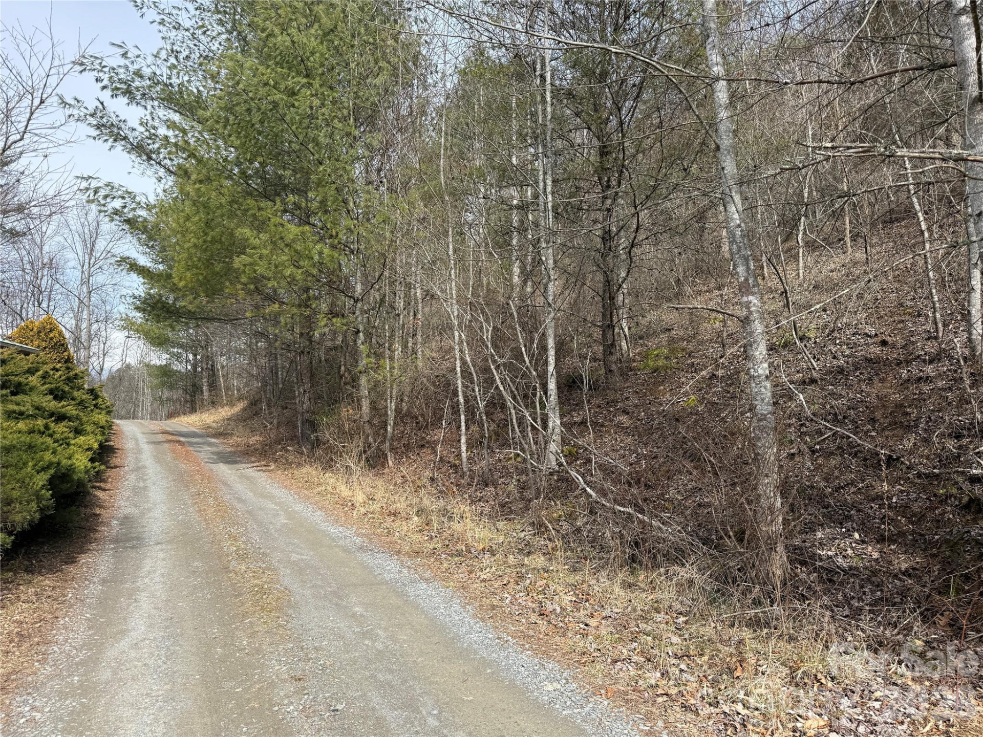 000 Rosalie Lane #5 - Photo 2