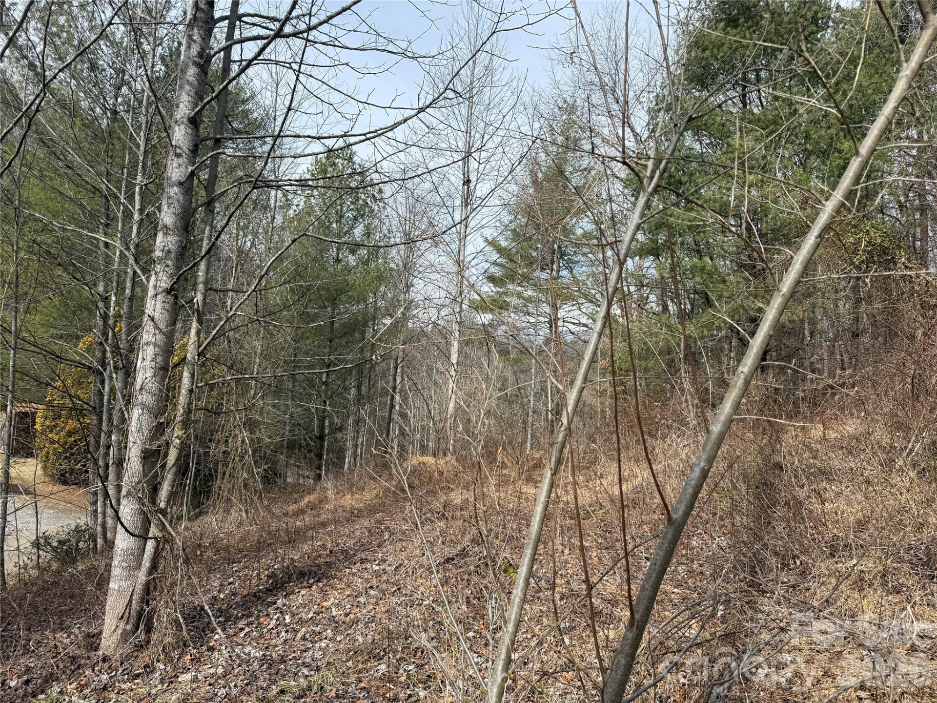 000 Rosalie Lane #5 - Photo 6