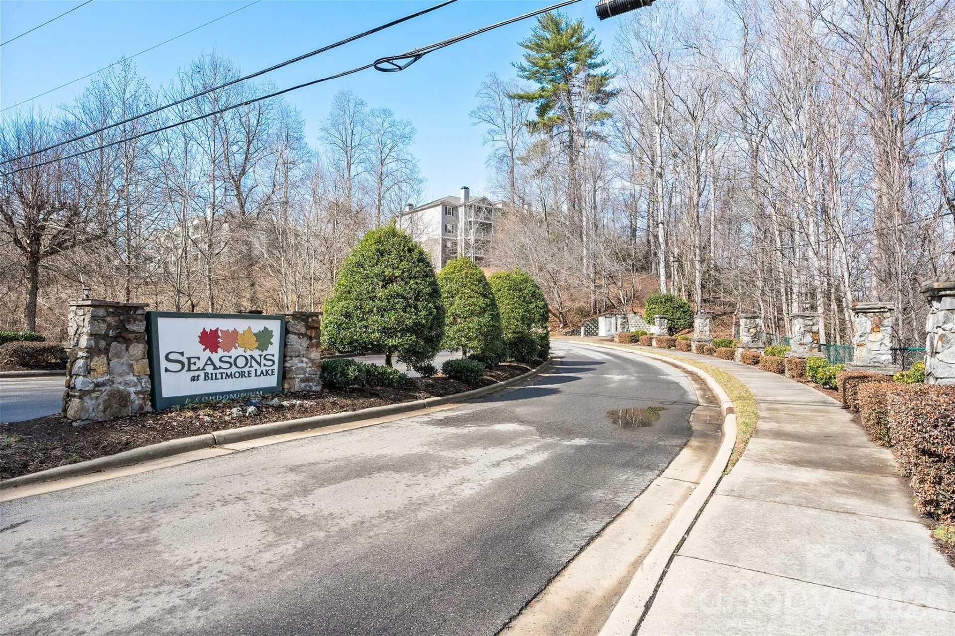 900 Vista Lake Drive #301 - Photo 17