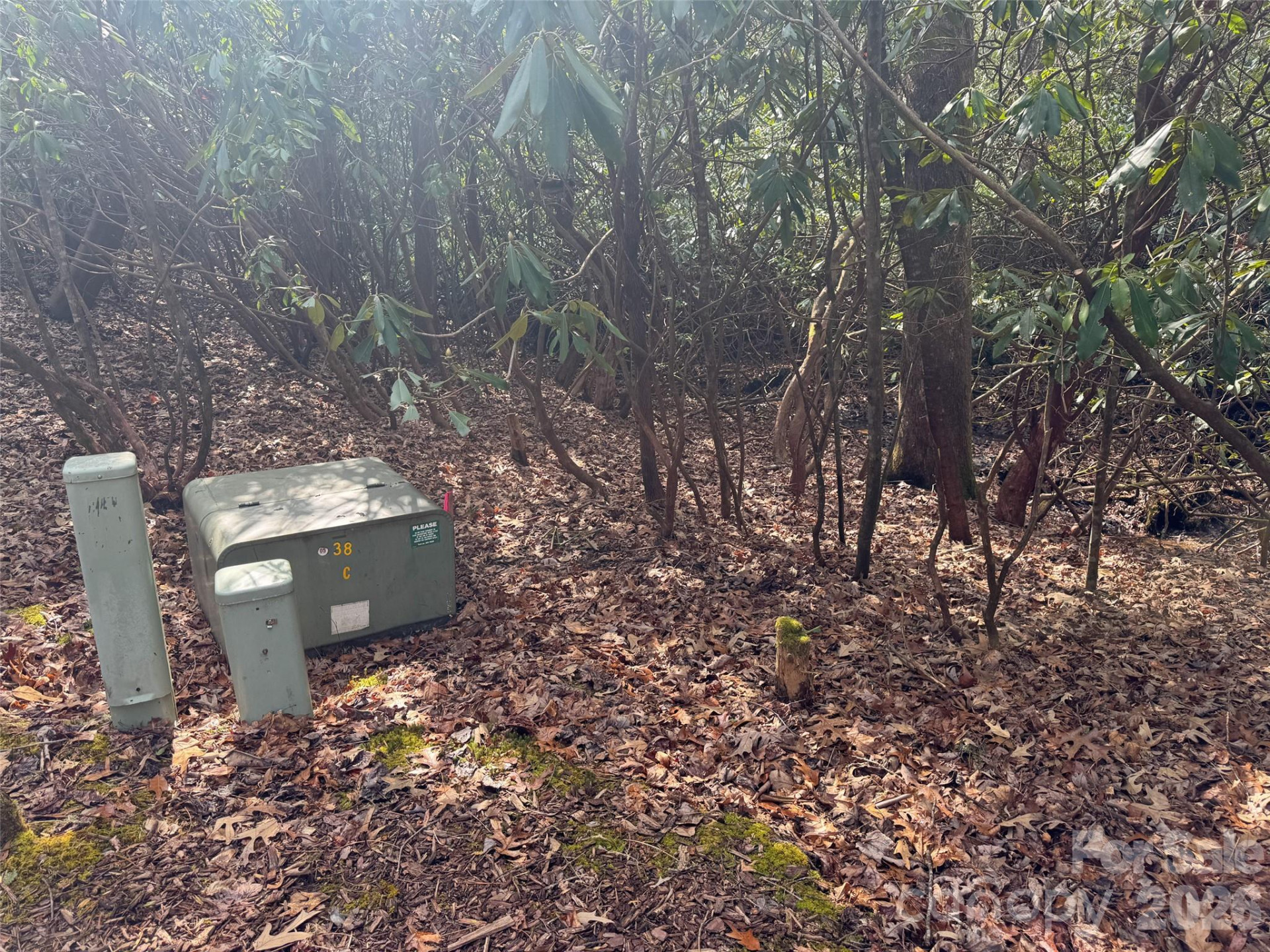 000 Falls Creek Court - Photo 11