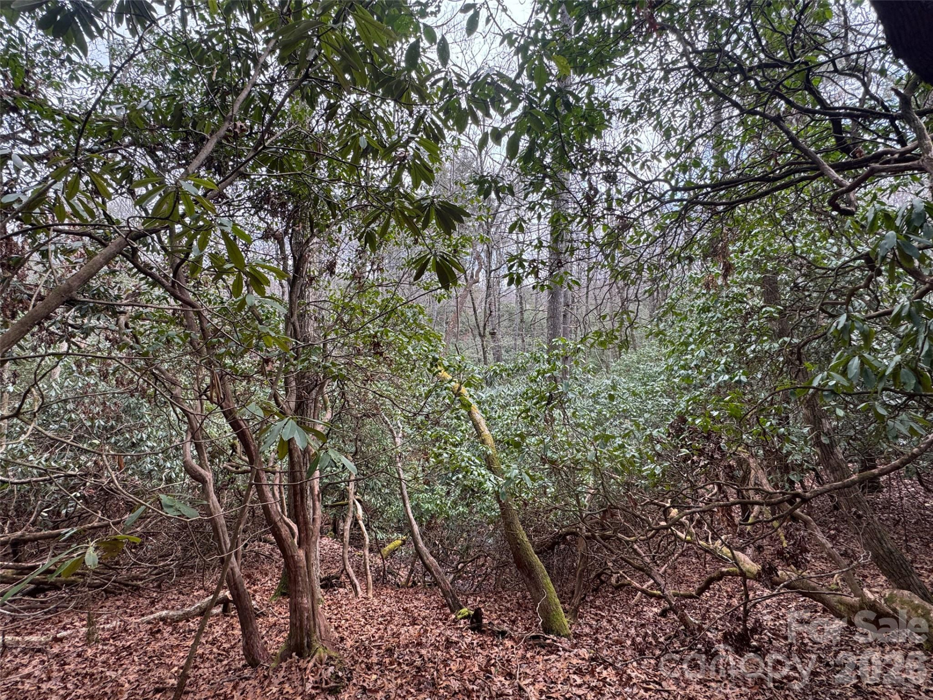 000 Falls Creek Court - Photo 3