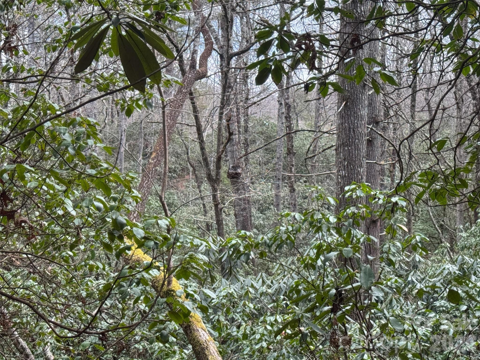 000 Falls Creek Court - Photo 4