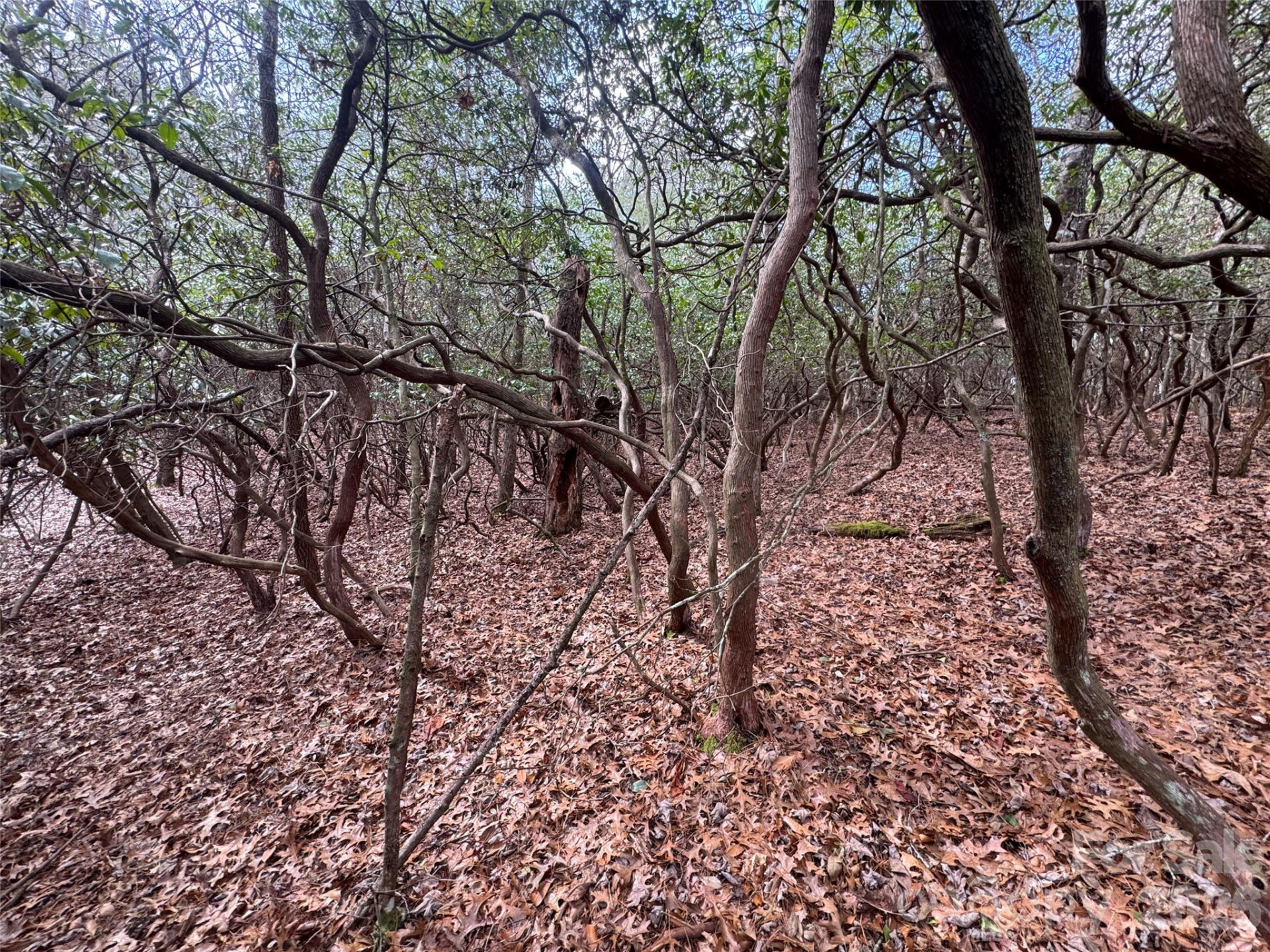 000 Falls Creek Court - Photo 5