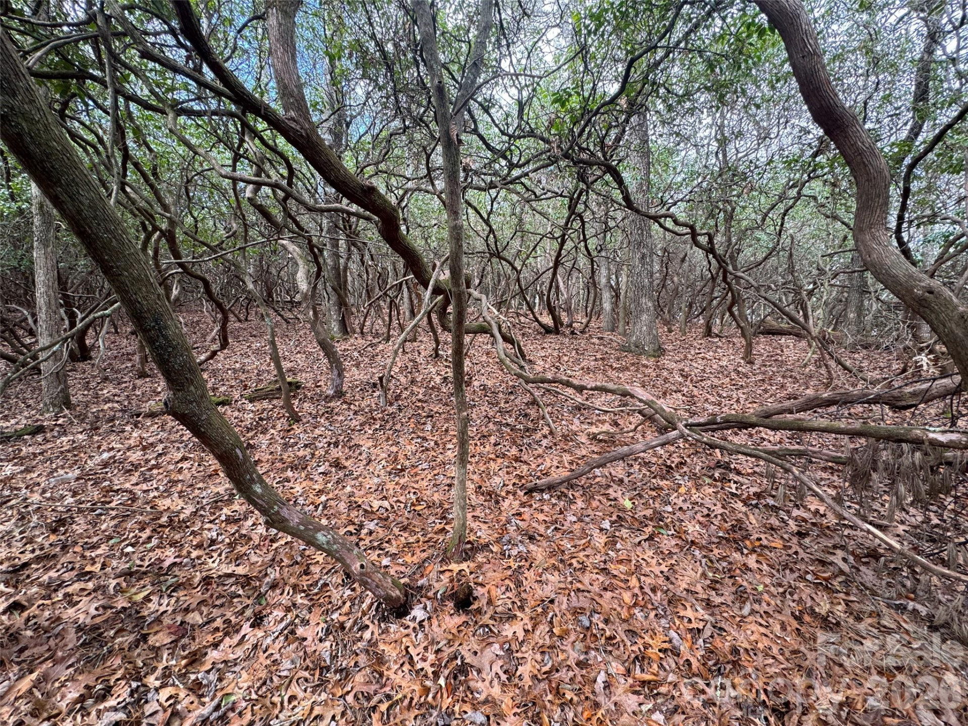 000 Falls Creek Court - Photo 6