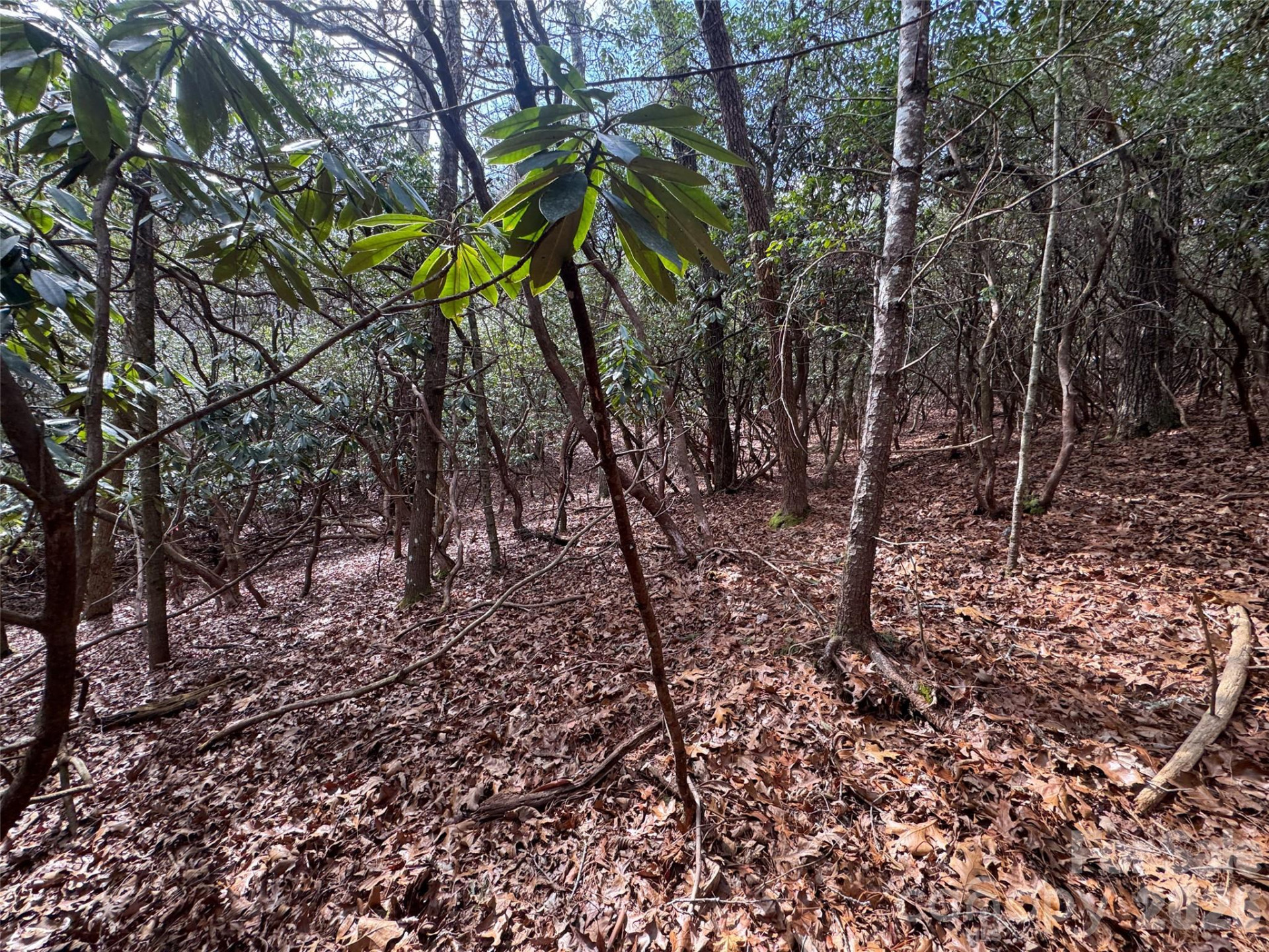 000 Falls Creek Court - Photo 7