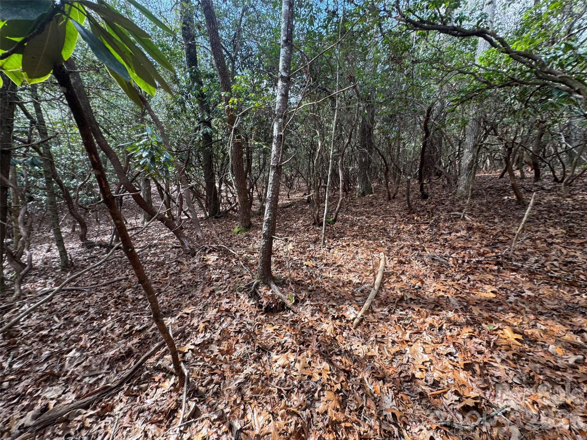 000 Falls Creek Court - Photo 8