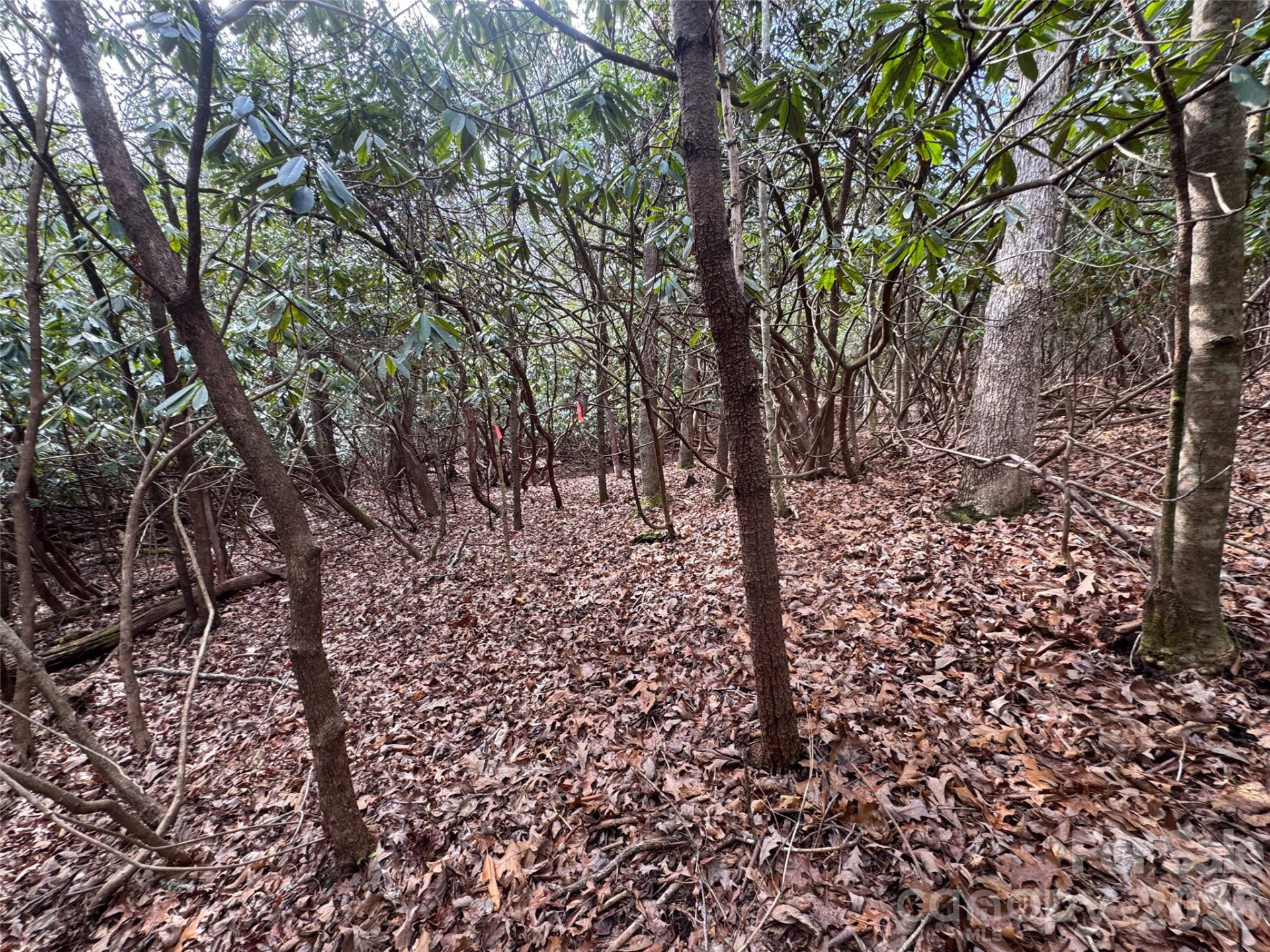 000 Falls Creek Court - Photo 9