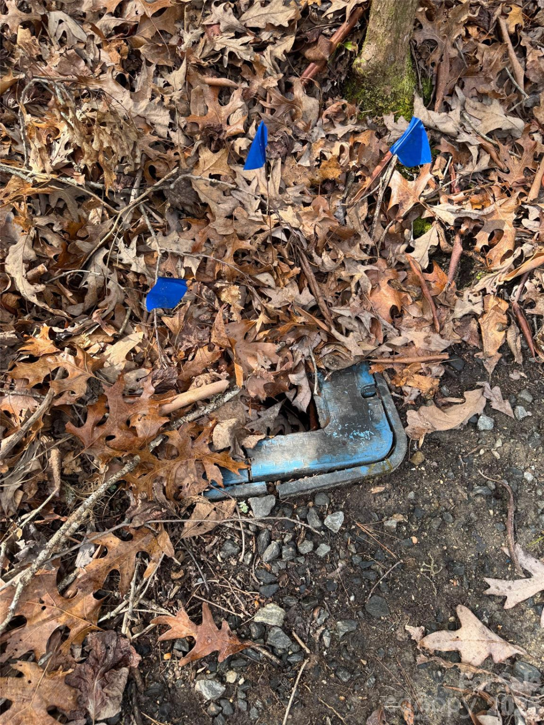 000 Falls Creek Court - Photo 10