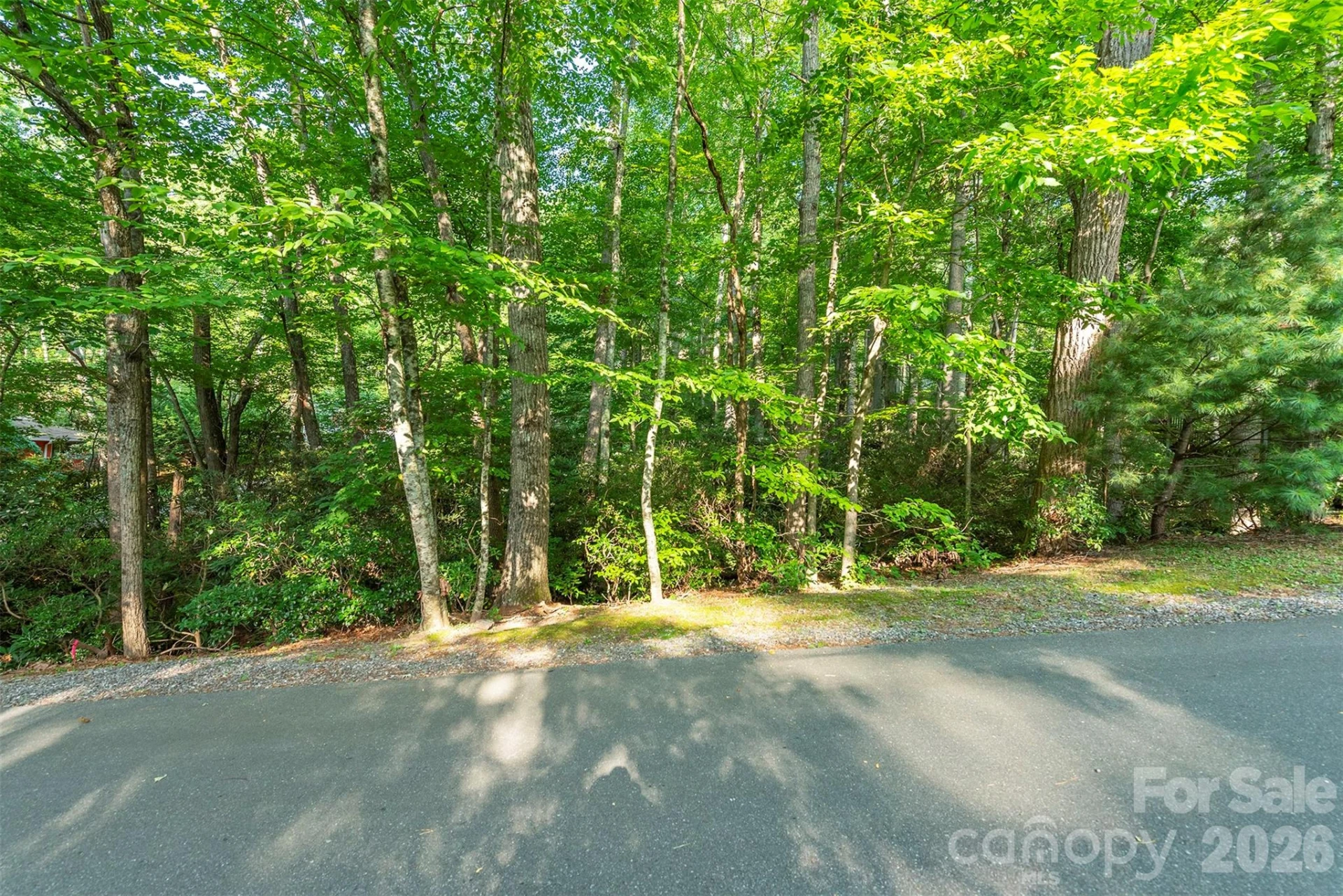 tbd Mecklenburg Circle - Photo 11