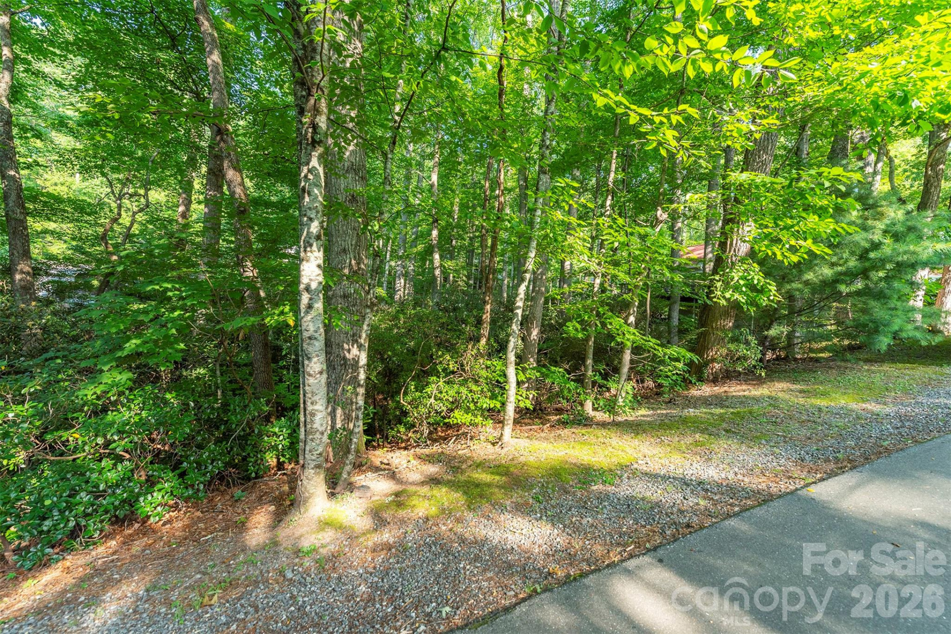 tbd Mecklenburg Circle - Photo 12