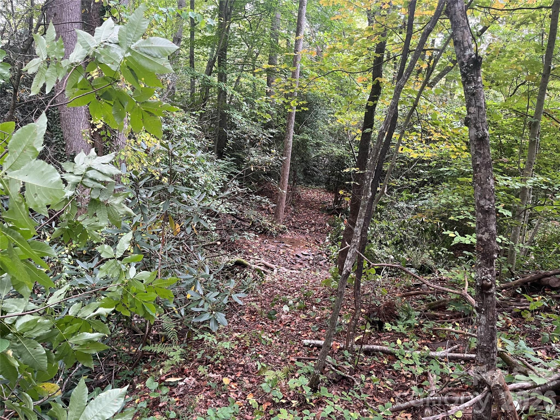 tbd Mecklenburg Circle - Photo 4