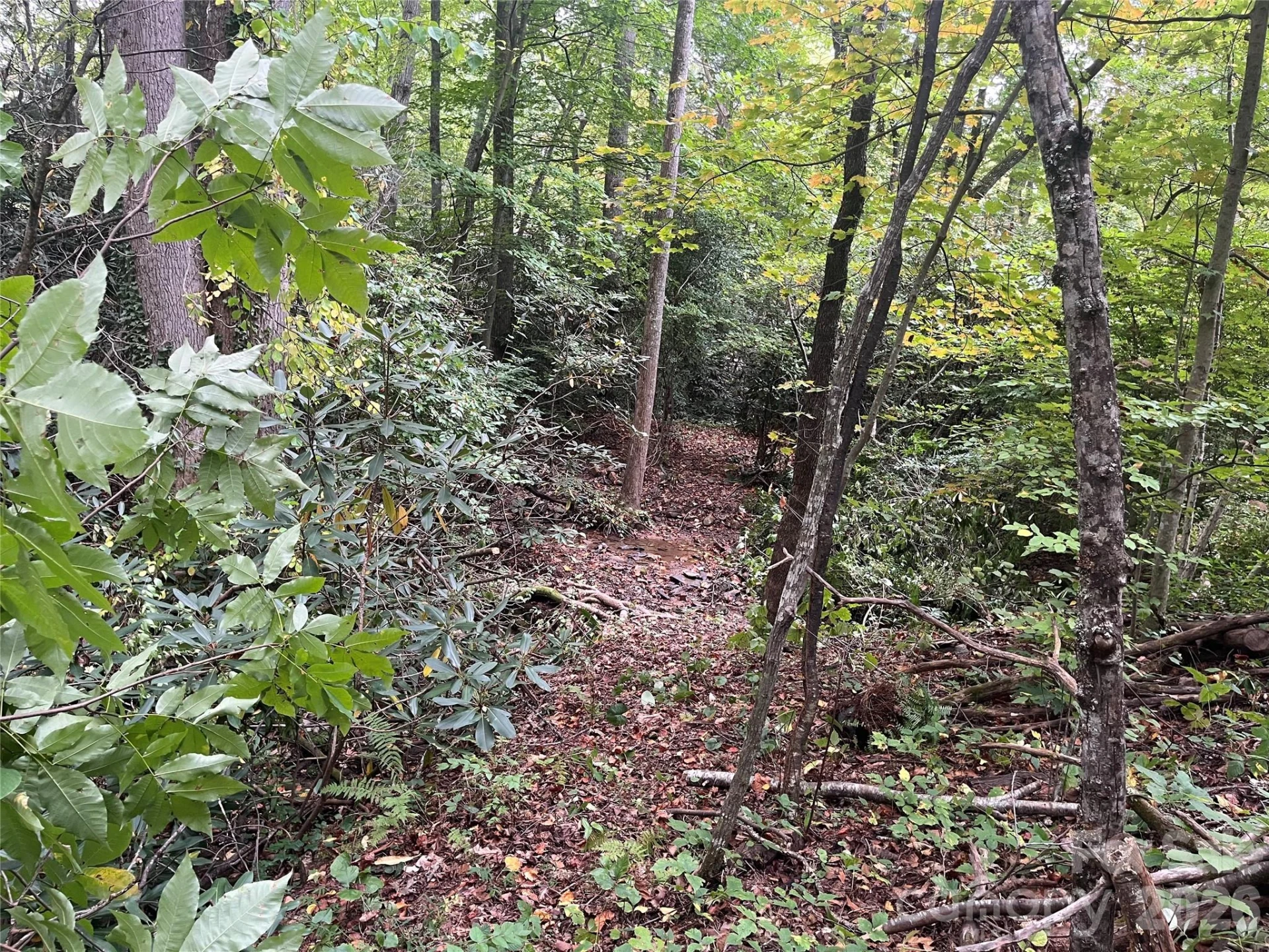 tbd Mecklenburg Circle - Photo 4