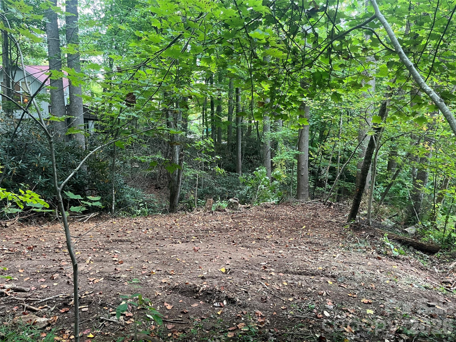 tbd Mecklenburg Circle - Photo 5