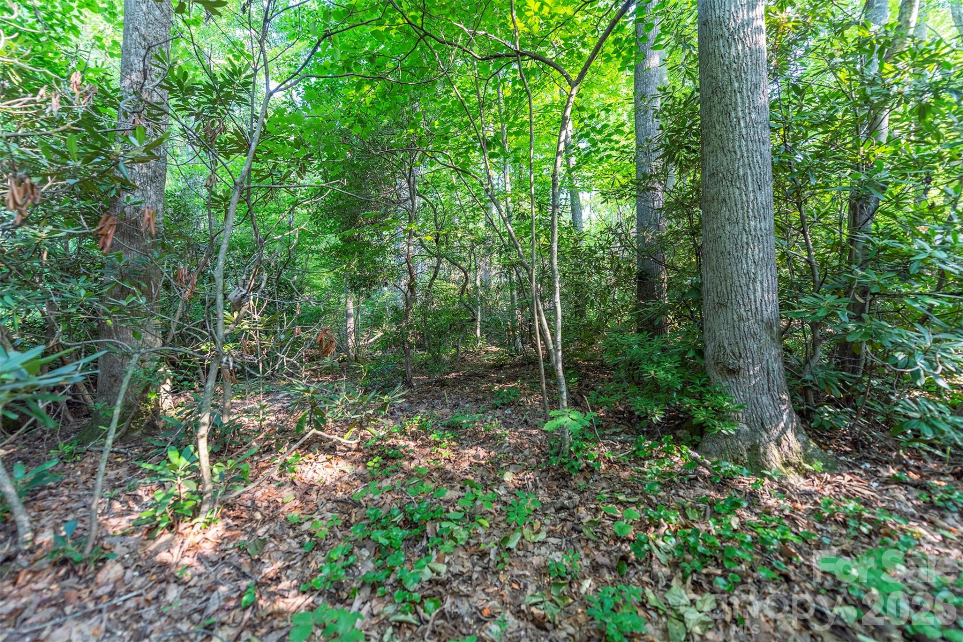 tbd Mecklenburg Circle - Photo 10