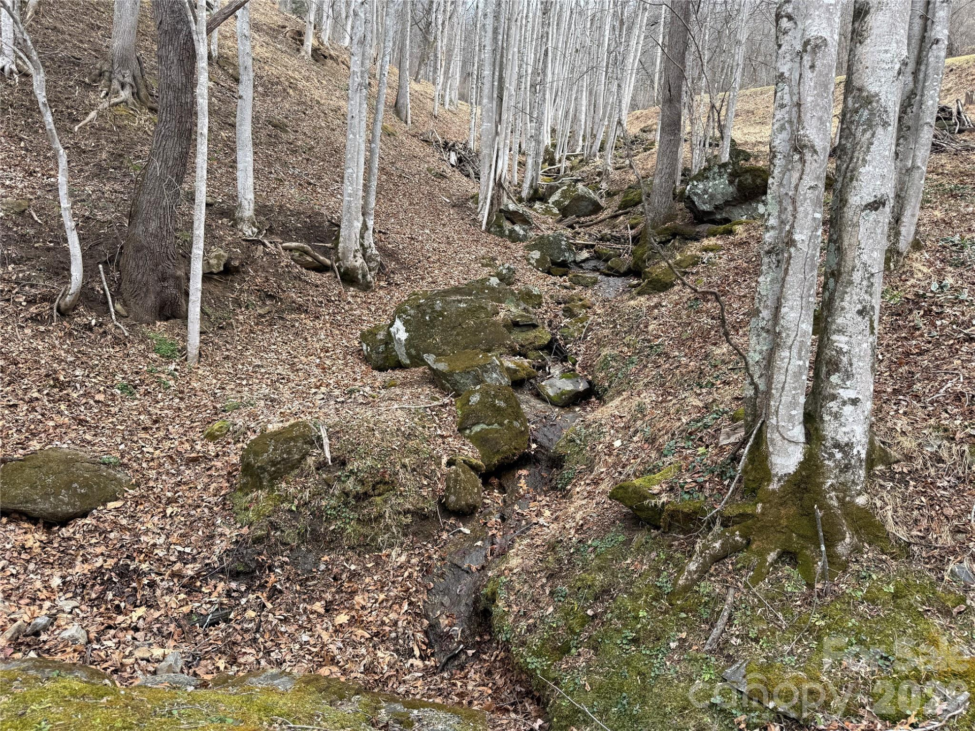 1975 Utah Mountain Road #19 - Photo 6