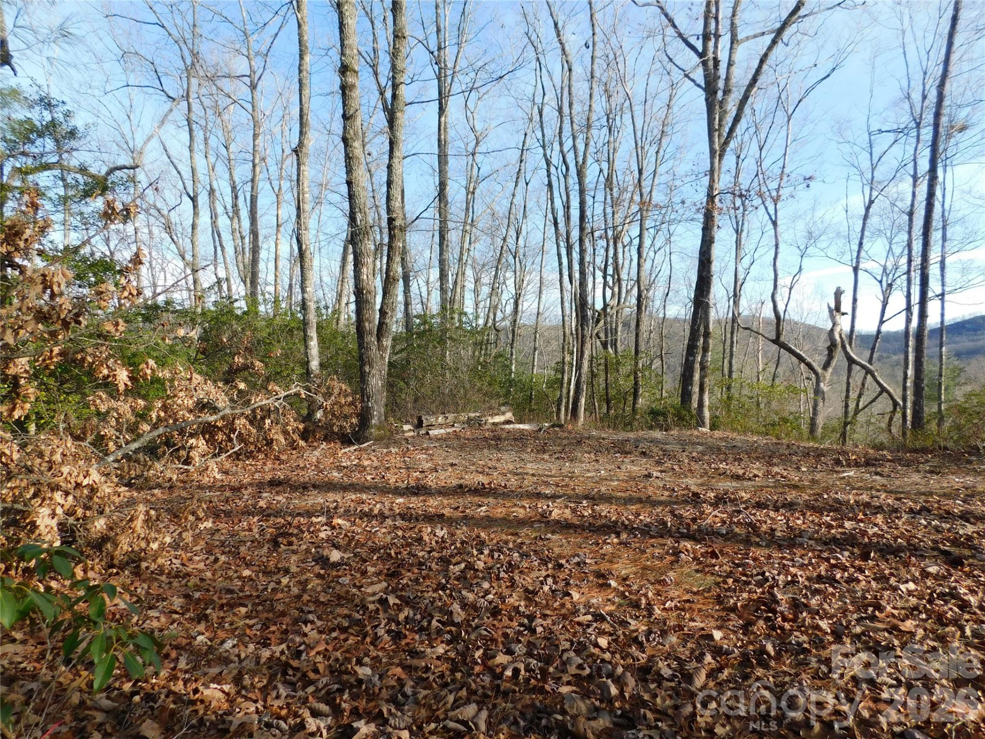 154 Laurel Thicket Drive #98 - Photo 2