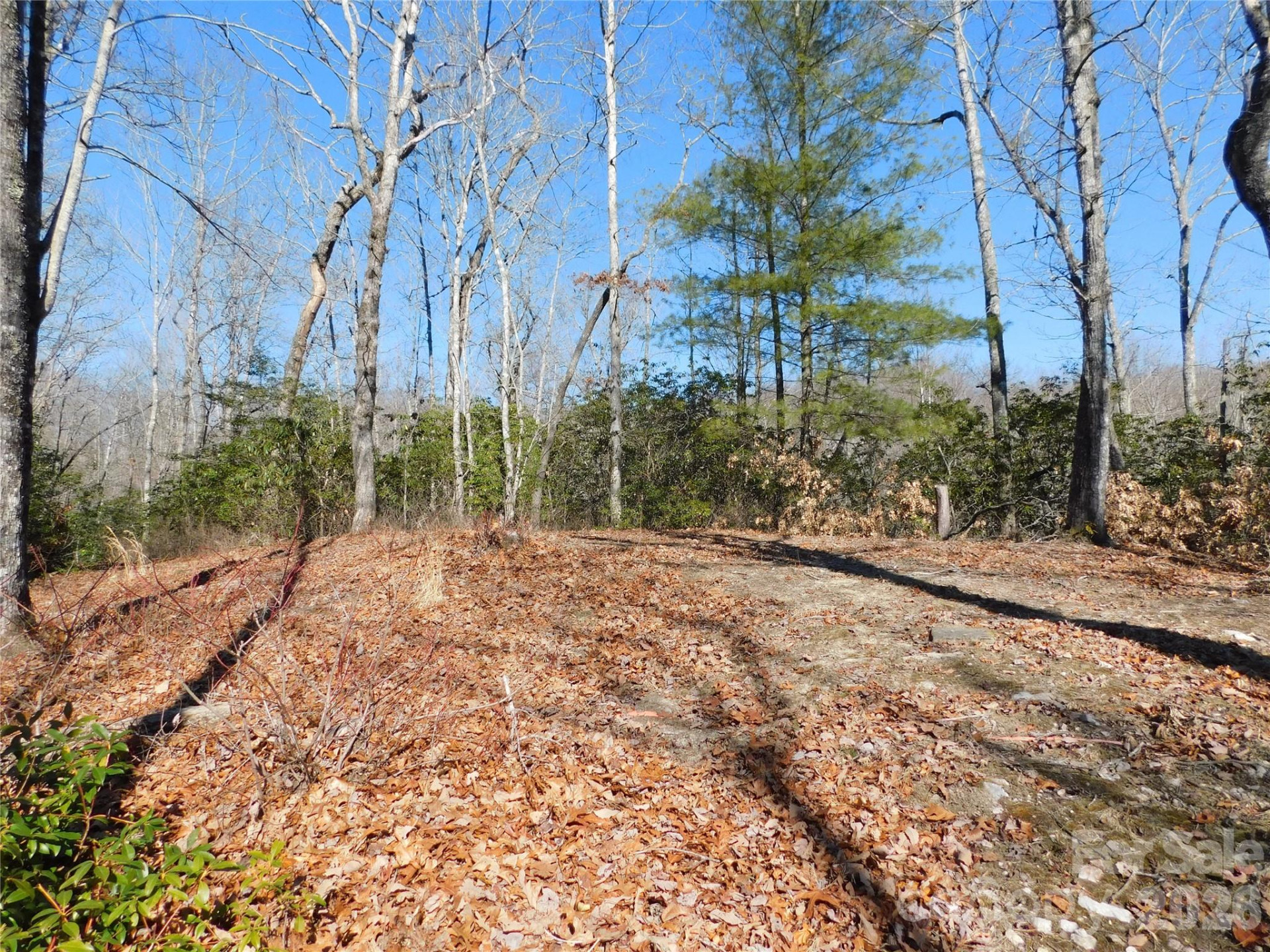 154 Laurel Thicket Drive #98 - Photo 12