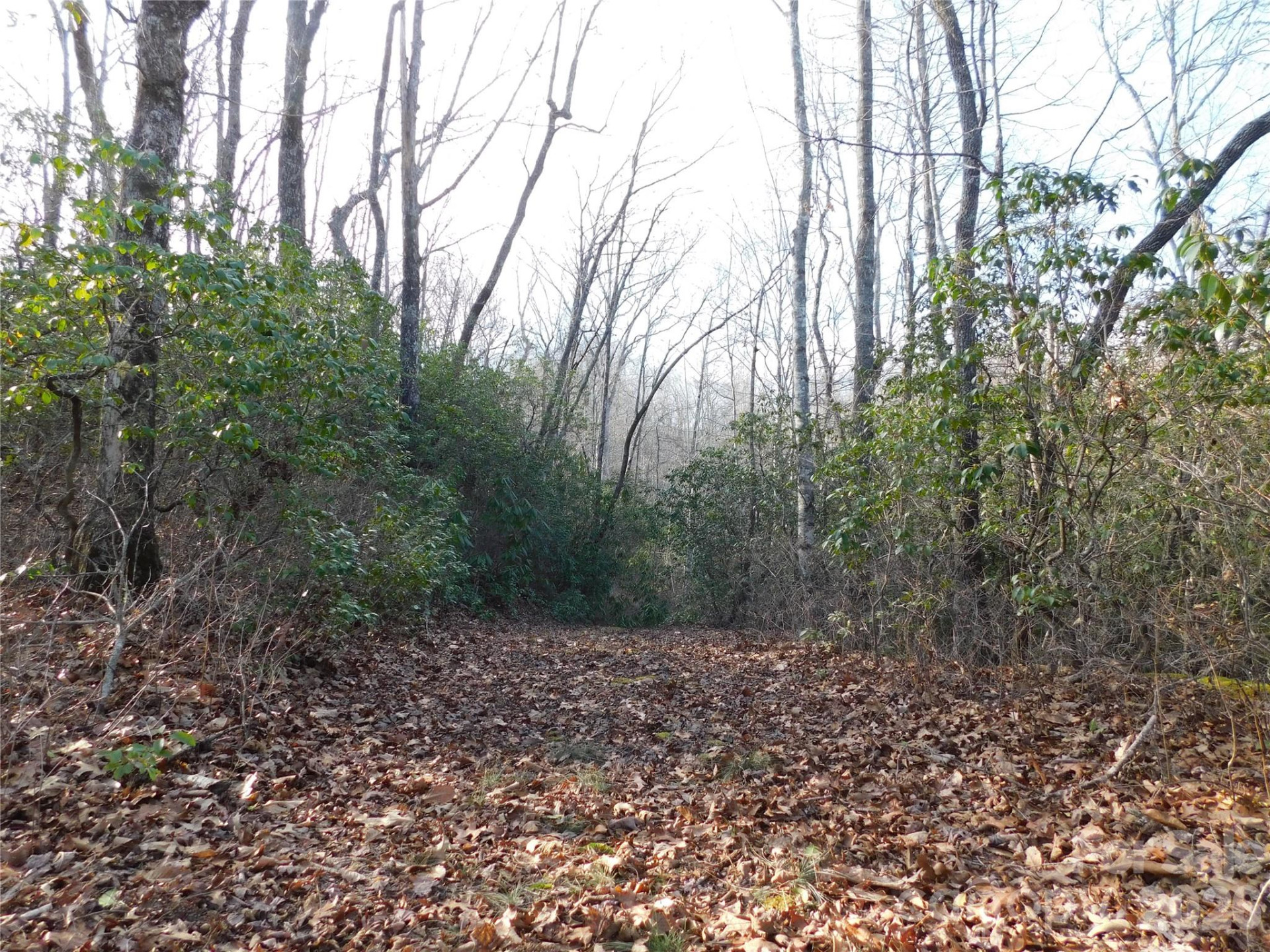 154 Laurel Thicket Drive #98 - Photo 13