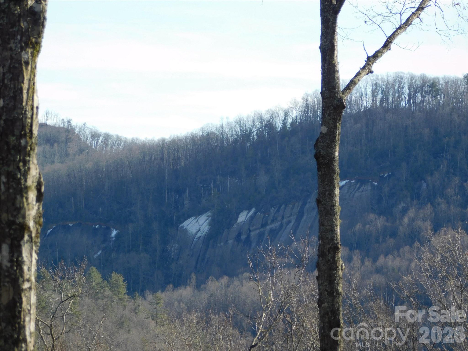 154 Laurel Thicket Drive #98 - Photo 14