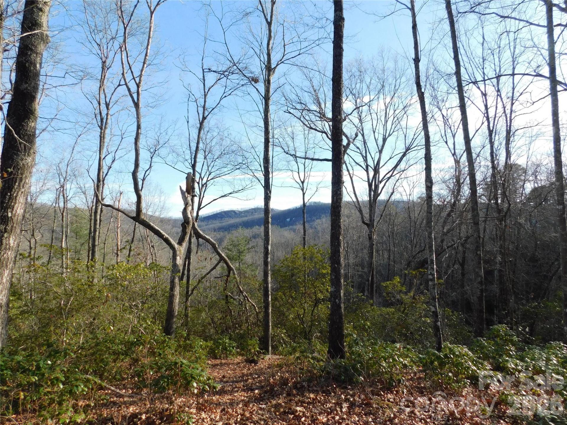 154 Laurel Thicket Drive #98 - Photo 15