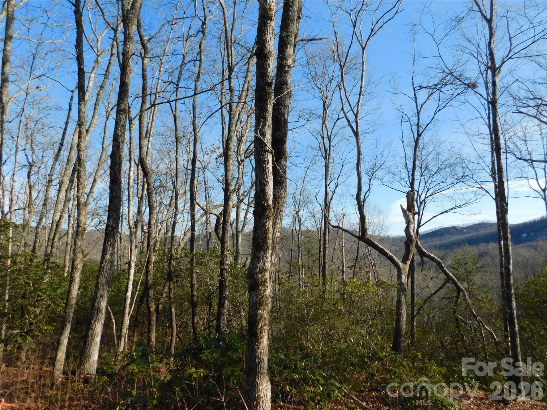 154 Laurel Thicket Drive #98 - Photo 16
