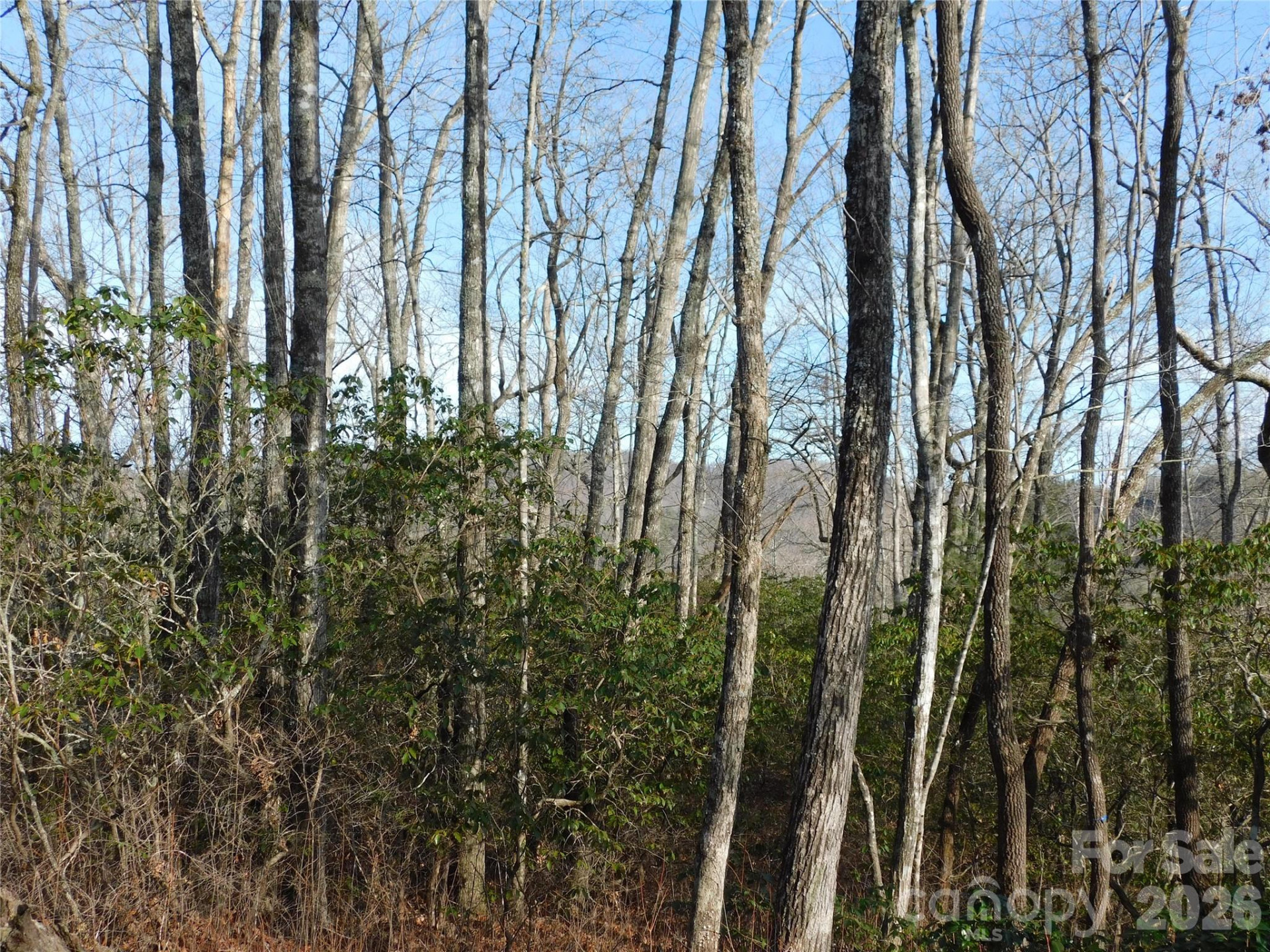 154 Laurel Thicket Drive #98 - Photo 17